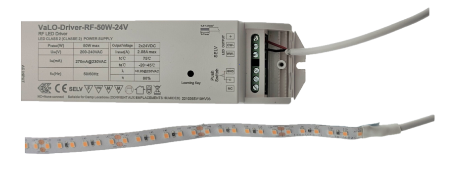 Solid colour led ribbon in transformer - LedStore Solid colour led ribbon in transformer