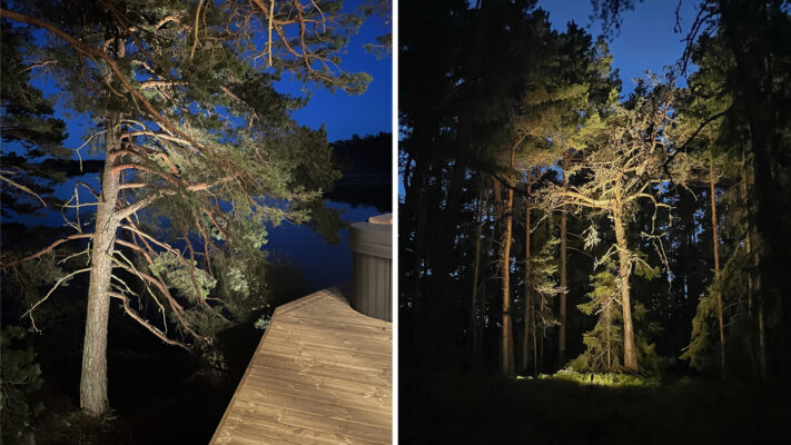 photo-2-beam-tree-light-ledstorefi - LedStore Indirect lighting of trees. Near a wooden terrace it gives comfortable light around.