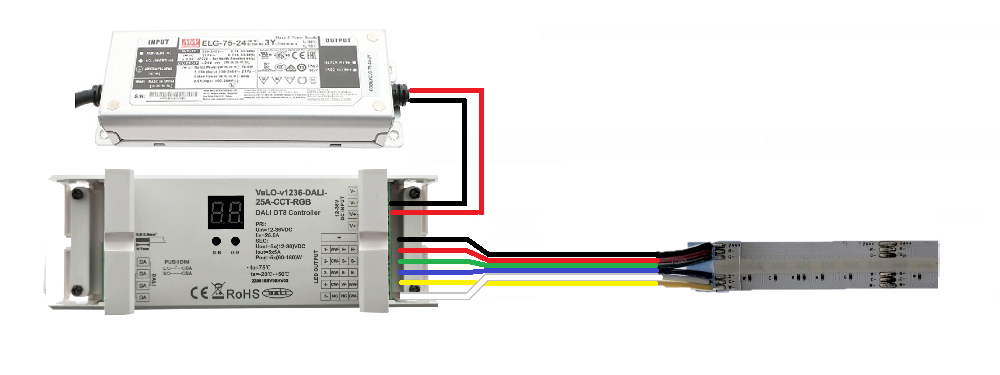 DALI Controller connection for RGBCCT led strip light - LedStore DALI Controller connection for RGBCCT led strip light