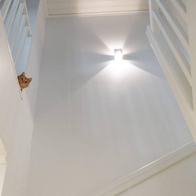 Cat and FUNK, square - LedStore Create an atmosphere with LED light, even with the FUNK wall light
