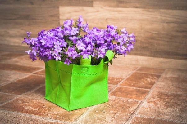 flowers in a green bag high colour rendering index lamps suitable for the plant - LedStore Vihreä, eläväinen neliönmuotoinen kassillinen purppuranvärisiä kukkia on asetettu laattalattialle. Kukat ja kassi ovat keskiössä, ja niitä korostaa pehmeän LED-valaistuksen hienovarainen hehku. Taustalla oleva puupintainen seinä ja ruskeat laatat täydentävät kokonaisuutta tyylikkäästi.