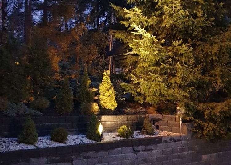 kuva 5 vk 3 2020 - LedStore Outdoor scene with LED-lit stone wall and walkway at dusk, enhancing garden's evergreen trees; a soft glow brightens the deep blue twilight sky.
