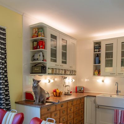 LED strip light above the upper cabinets of a light kitchen and wall lights under the cabinets. A grey cat sits on the kitchen level.