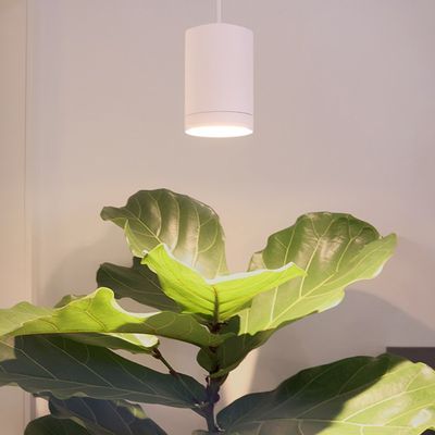 LED PLANT LIGHT FOKUS, 5-stage CCT 2700K-5800K, dimmable, 30W, IP20, CRI97. Designed for all plants. The power of 30 watts provides 2700 lumens, which corresponds to approximately 300 W of halogen light. Efficient and the color temperature, i.e. CCT, is adjustable.
