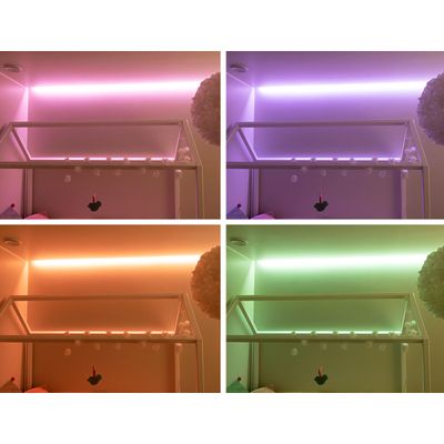 RGB+W ribbon in four colours: pink, lilac, orange, green.