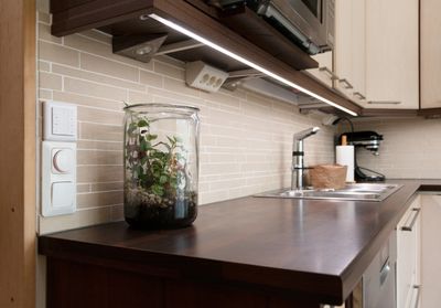 Under-cabinet LED lighting illuminates the kitchen worktop, which houses the terrarium, sink, tap and appliances.