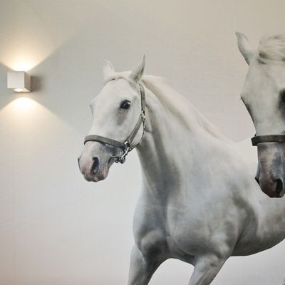 Alternative text: 'Mural of two white horses illuminated by warm LED lights on the left, enhancing the mood of the lighting movement.