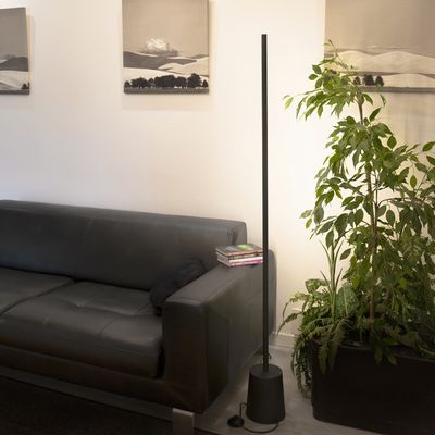 Modern living room with energy efficient LED lighting, black leather sofa, floor lamp, potted plants and monochrome landscape furniture.