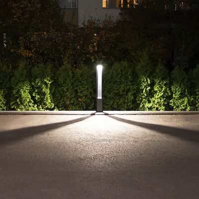 A night path illuminated by a single LED lighting column casting long shadows, surrounded by lush green shrubs; ideal for outdoor lighting.