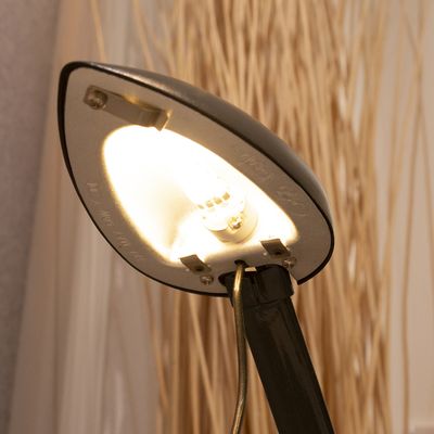 Close-up of a modern black LED lampshade with a featured bulb, highlighted against a background of decorative sticks to create elegant lighting.