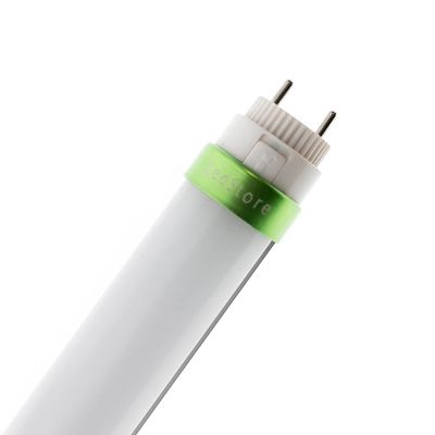 Close-up of a fluorescent light tube with metal pins at the end; a green ring highlights the top. Ideal for energy efficient LED lighting solutions.