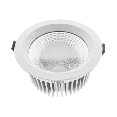LED downlight —EYE, CCT adjustable, dimmable, 24W, CRI95