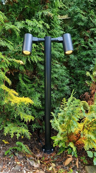 Black outdoor double spot light illuminates lush foliage and plants in a garden setting. LED lighting for gardens and outdoor landscapes.