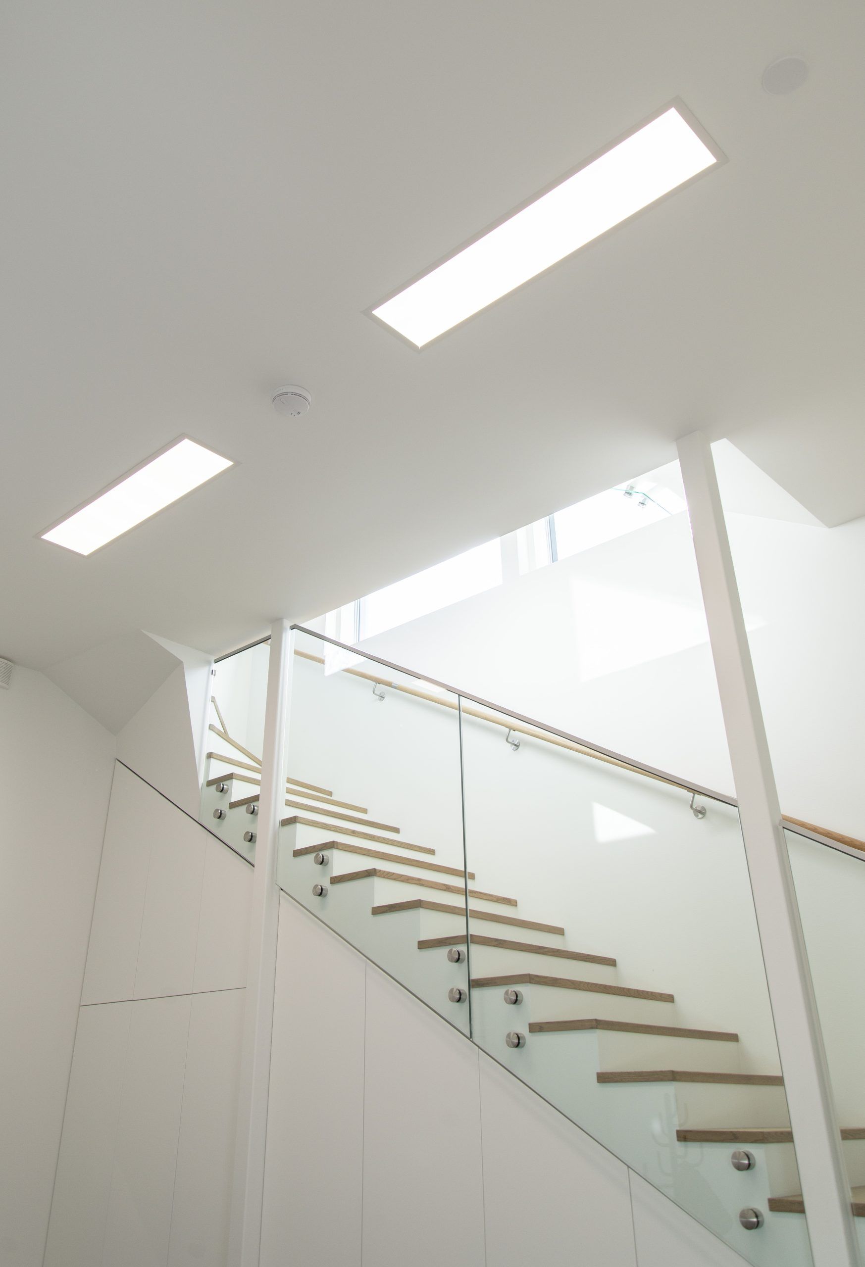 Green background and white square with 'LED STORE' in bold white letters highlighting energy efficient lighting solutions.