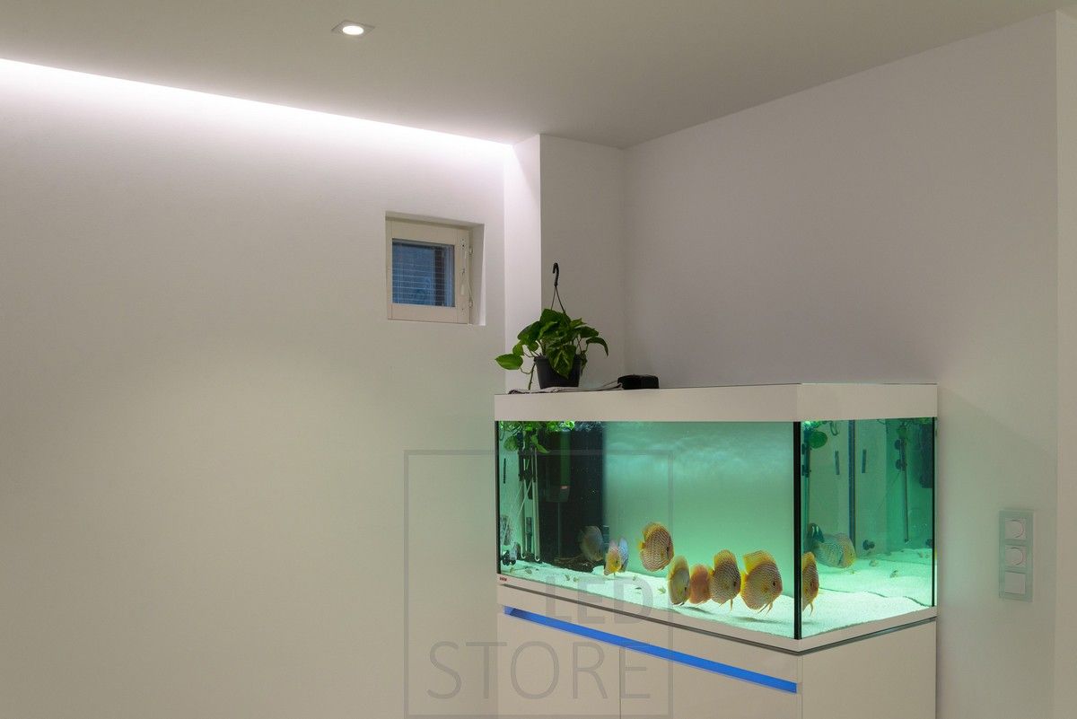 Atmospheric, indirect light realized with a recessed led strip. The indirect light is supported by spot lighting.
