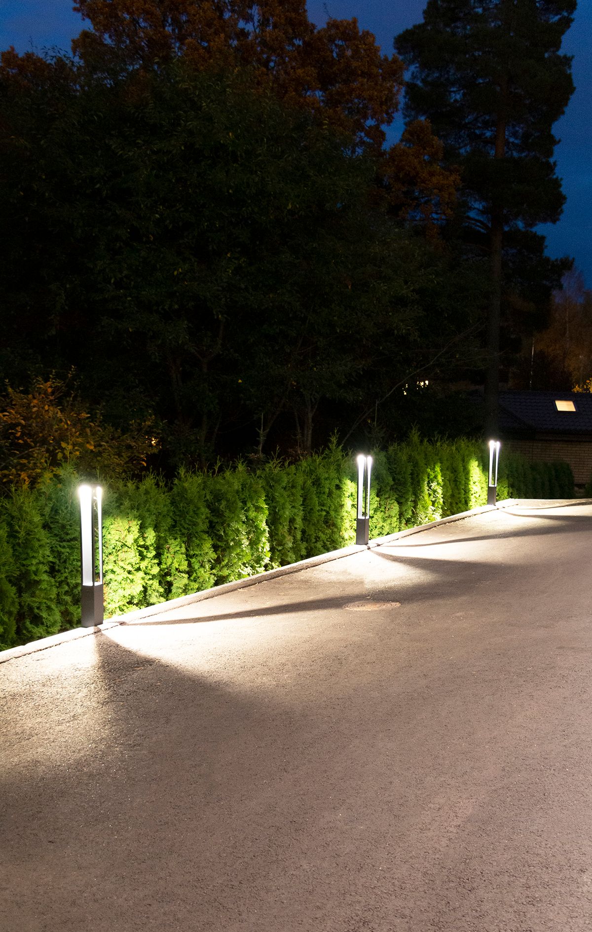 Green background with a white square in the middle with the text "LED STORE" for energy efficient lighting solutions.