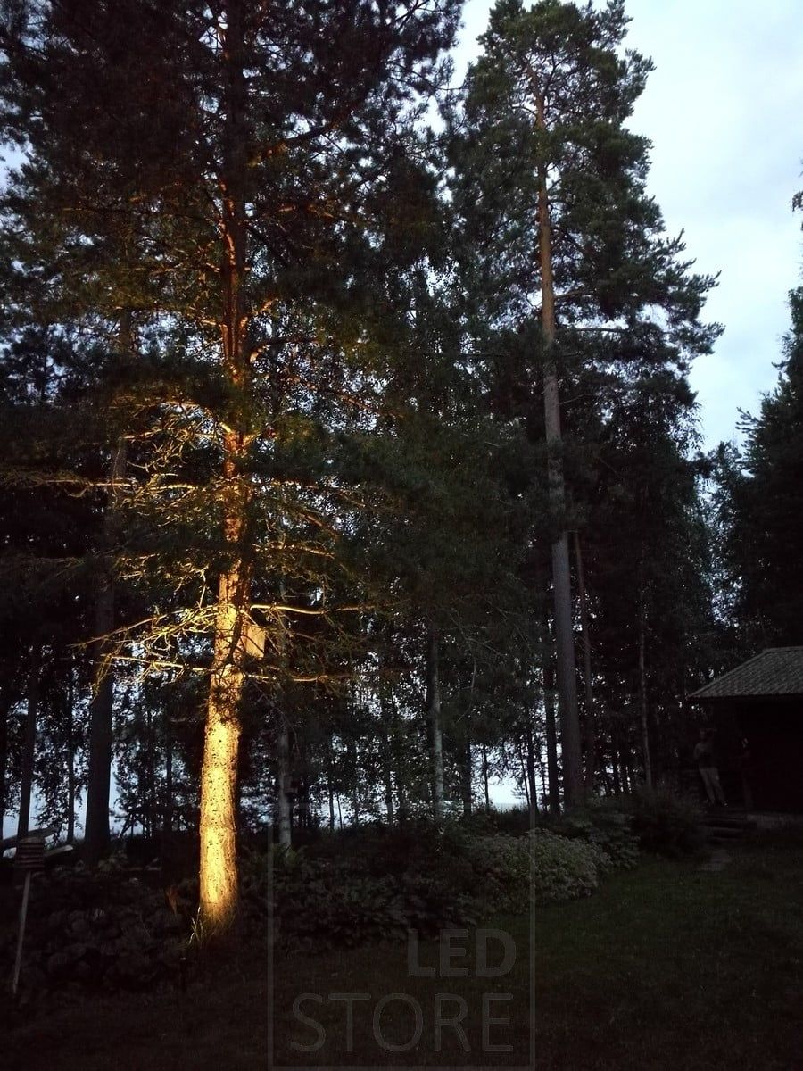 Led ground light spike illuminating and highlighting a tree. The lighting is atmospheric and indirect. Ledstore.fi