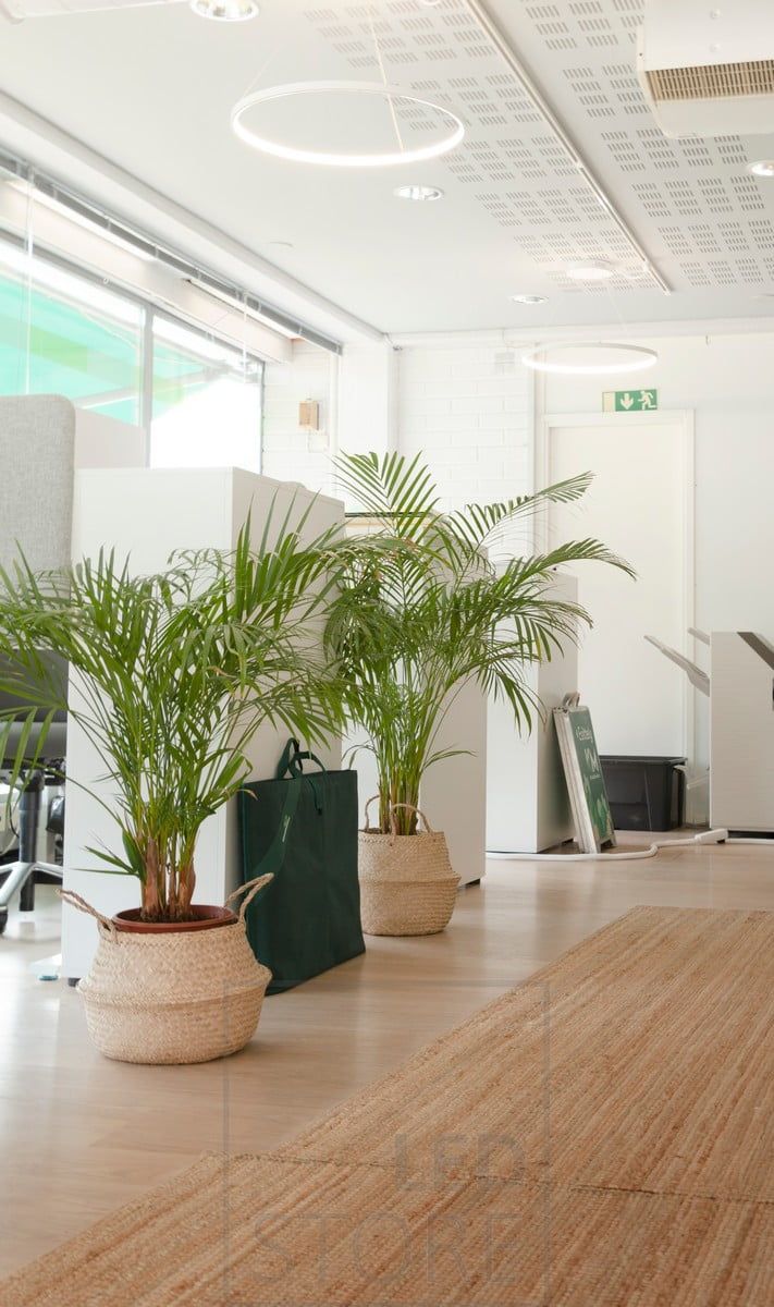 The office is illuminated by graceful and minimalist RINKELI pendant luminaires. The lighting is pleasant, even, adjustable and does not dazzle the screen head when working. Ledstore.fi