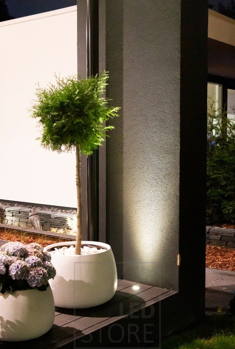 A flush-mounted patio pot behind and highlighting the plant. The spotlight provides indirect light through the wall from the bottom up. Ledstore.fi