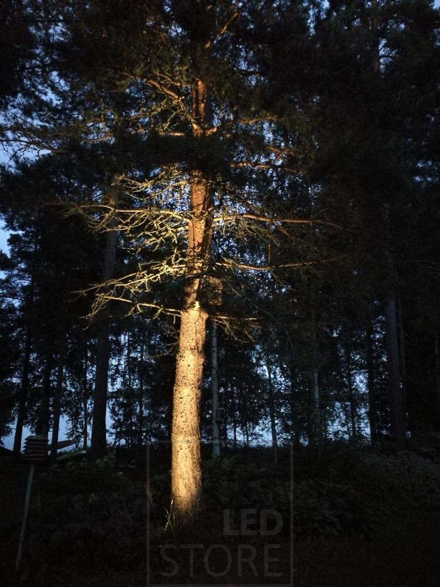 Outside, the tree is accented by a maquis light. The luminaire must be directional. Ledstore.fi