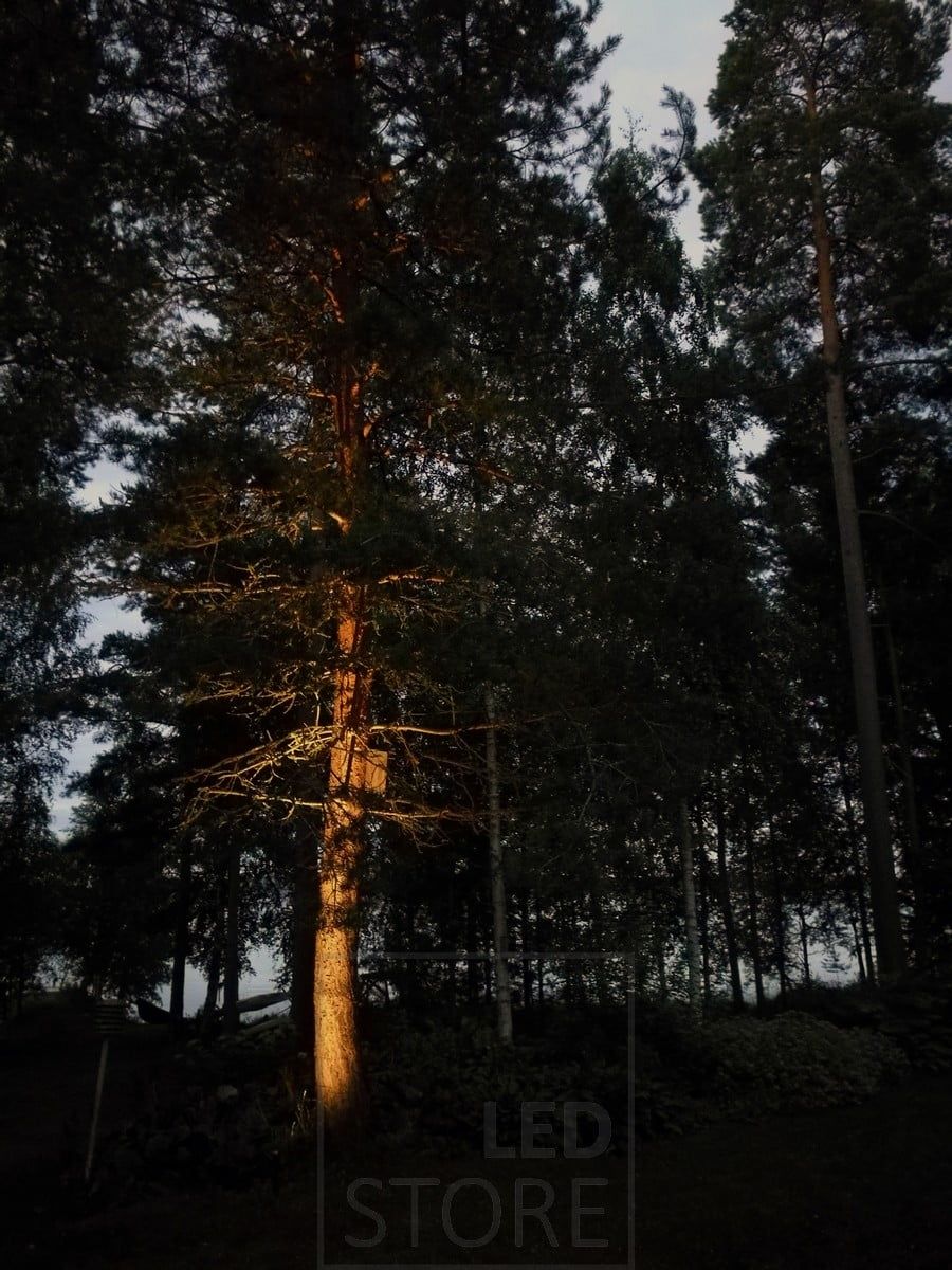 Tree highlighting in a courtyard with a directional landscape luminaire. Ledstore.fi