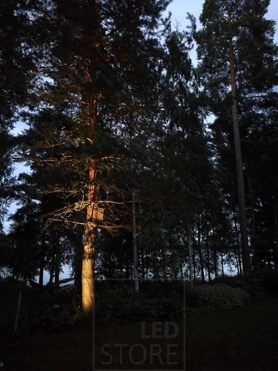 Exterior tree illuminated by a directional ground lantern. Ledstore.fi