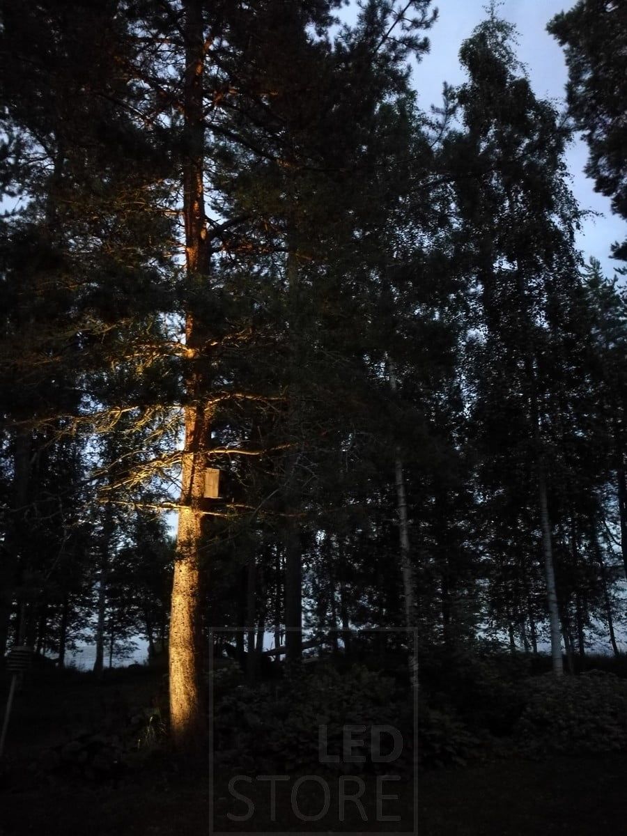 A tree in a courtyard illuminated by a ground-mounted ground light. Ledstore.fi