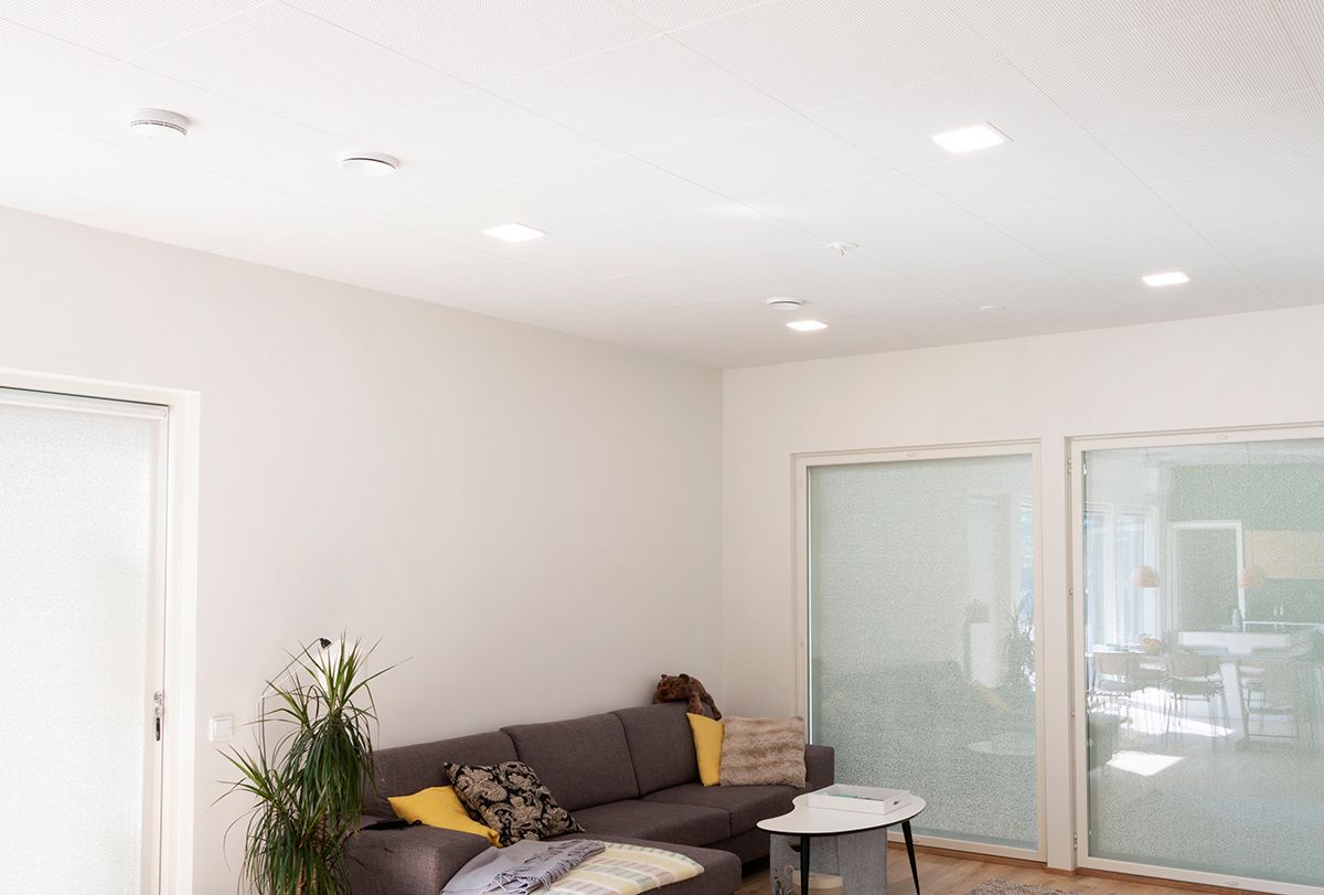 Green background and white square with the text "LED STORE" in bold, promoting energy efficient LED lighting solutions.