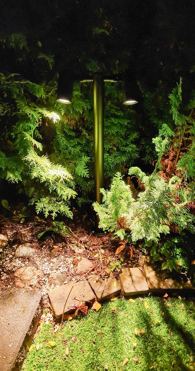 Pillar TILT 2 installed in an outdoor garden. Illuminates plants in the flowerbed at dusk.