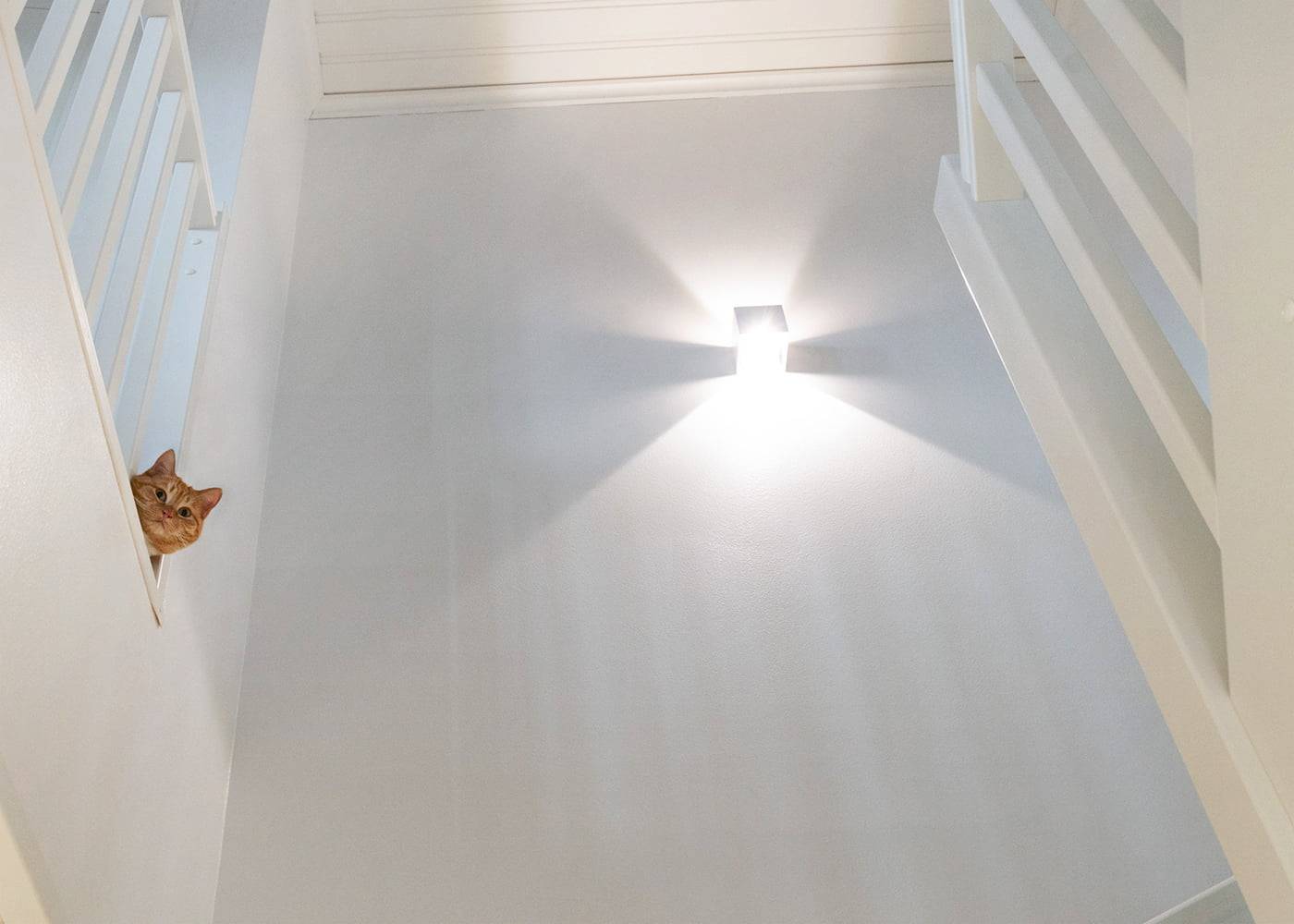 Cat peeking through staircase railing in a bright room, illuminated by an LED wall light casting star patterns on the wall for enhanced ambiance.