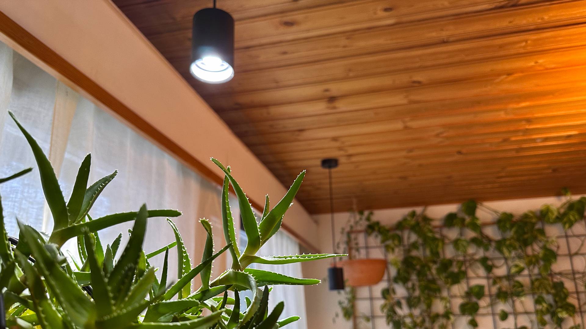 A grow light ensures your houseplants thrive year-round—even in windowless spaces. LedStore.fi offers the perfect solution for creating a cozy interior with LED lighting. The LED pendant lights mounted on the wooden ceiling provide both stylish and energy-saving illumination. In the foreground, a large aloe plant, along with various-sized houseplants hanging on the mesh wall in the background, create a lush and fresh atmosphere that brings the space to life.