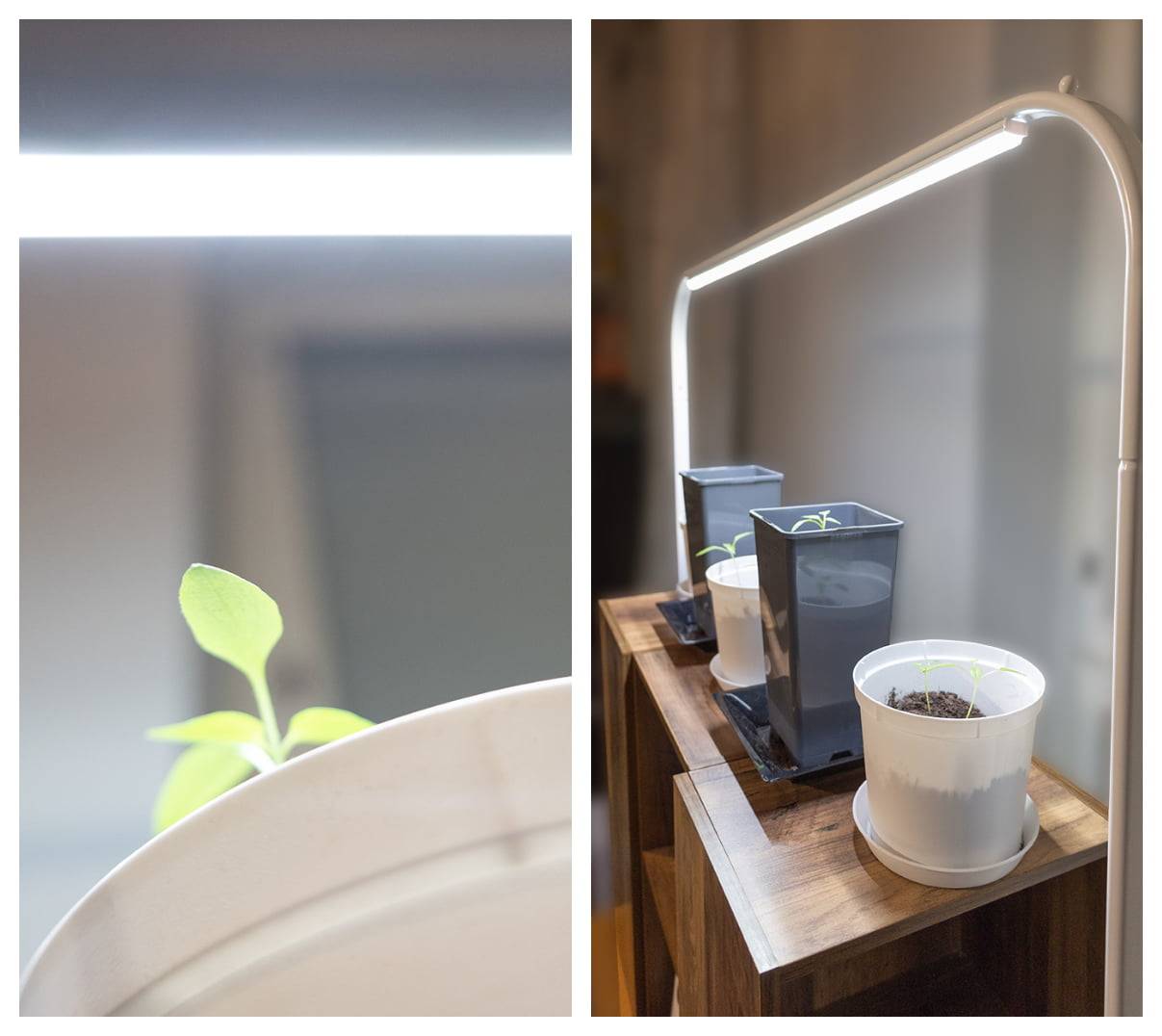led floodlighting works well