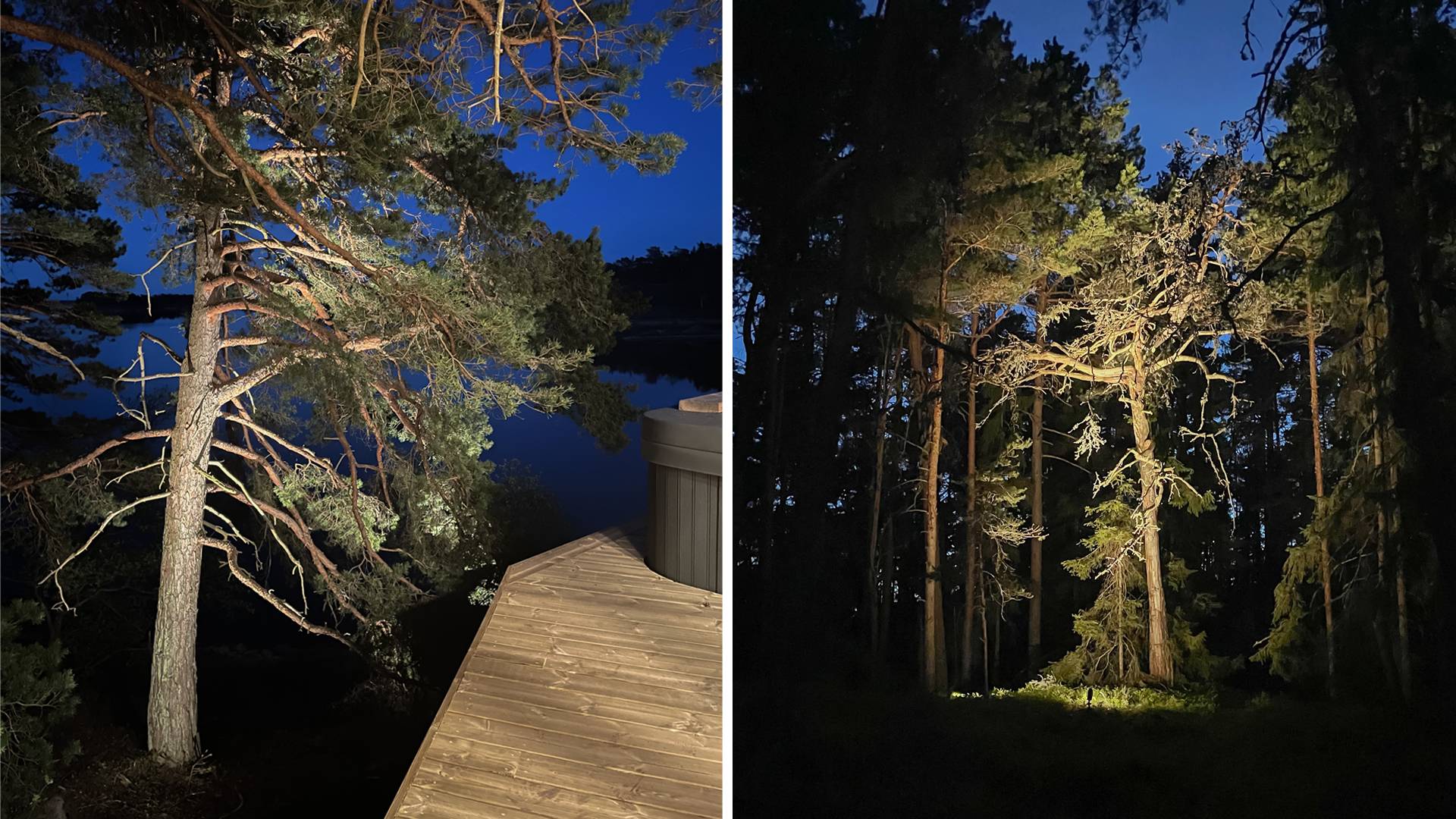 Indirect lighting of trees. Near a wooden terrace it gives comfortable light around.
