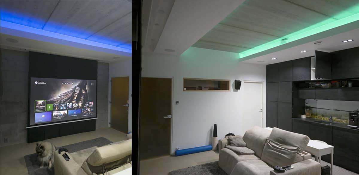 A home theater setup, a projector screen, seating, and a dog sitting on the floor.